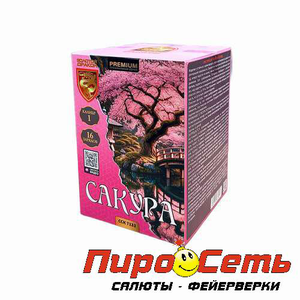 Сакура